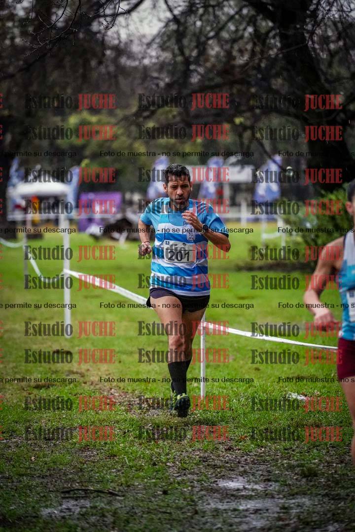 Fotos en el circuito