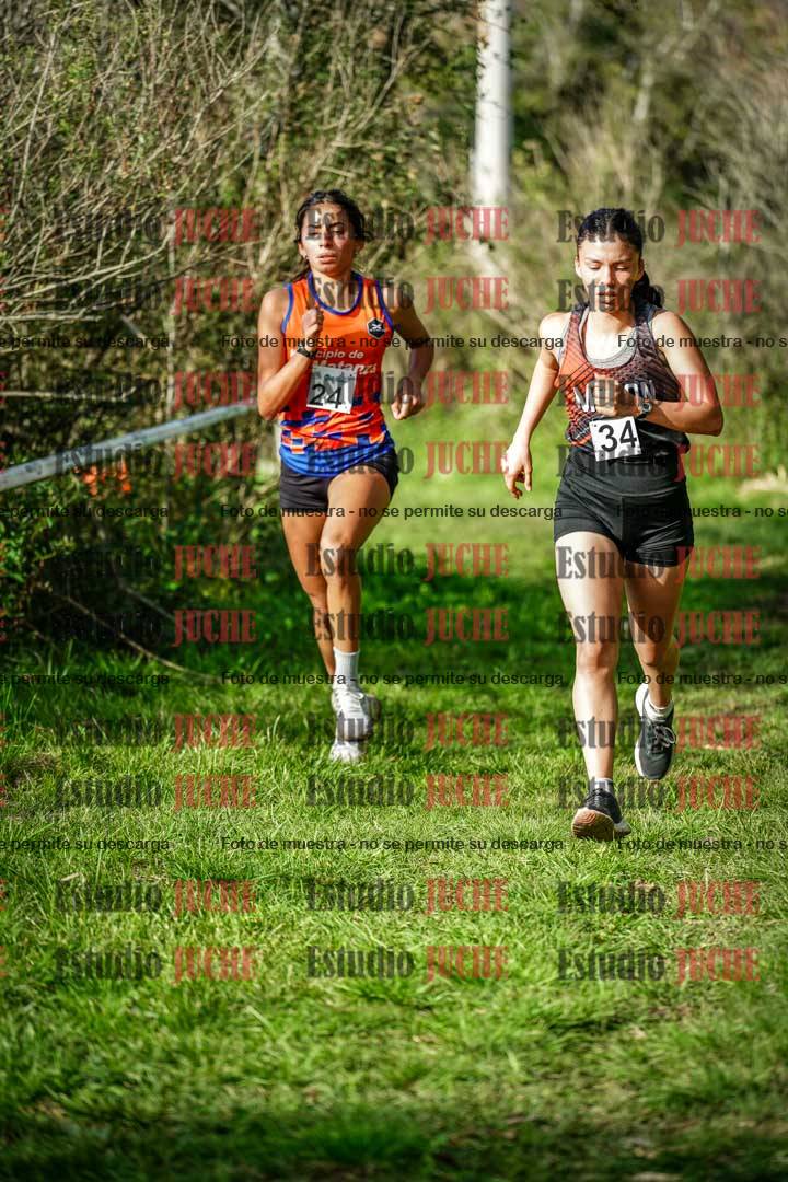 Fotos en el circuito
