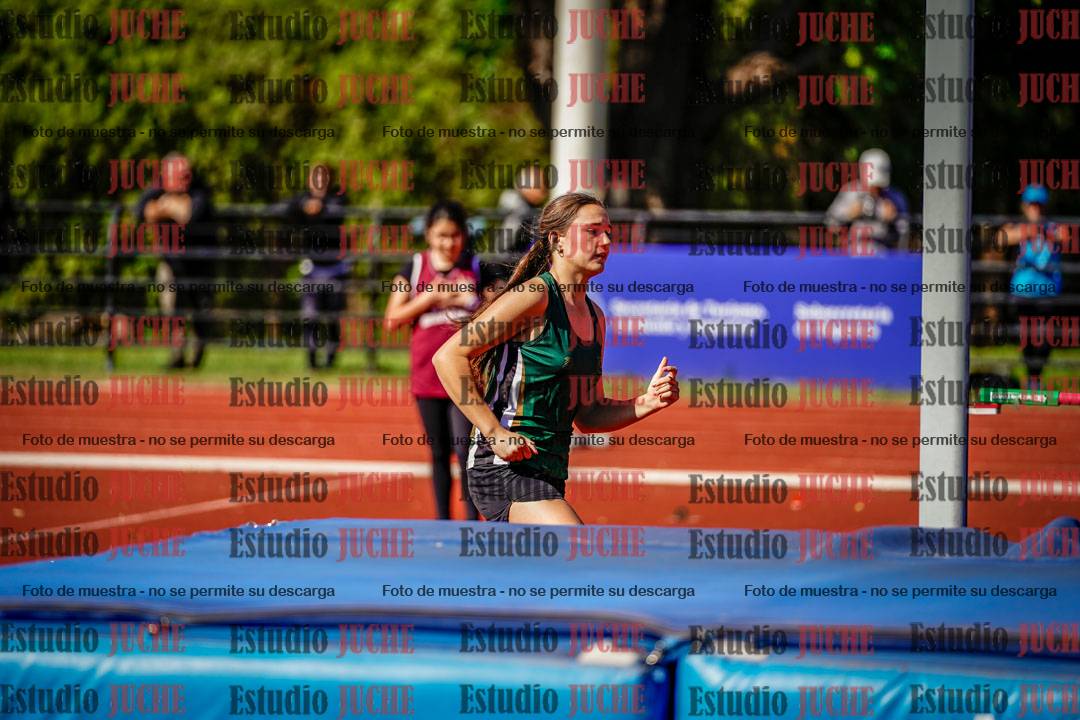 Fotos del salto en alto