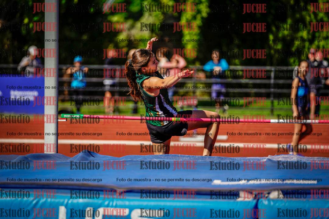 Fotos del salto en alto