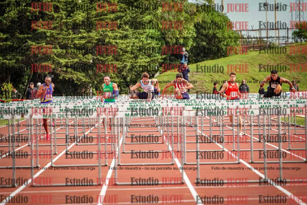 Fotos de los 110 m con vallas de varones