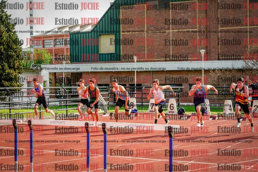 Fotos de los 110 m con vallas de varones