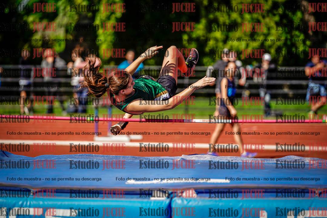 Fotos del salto en alto