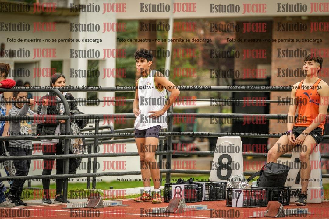 Fotos de los 110 m con vallas de varones