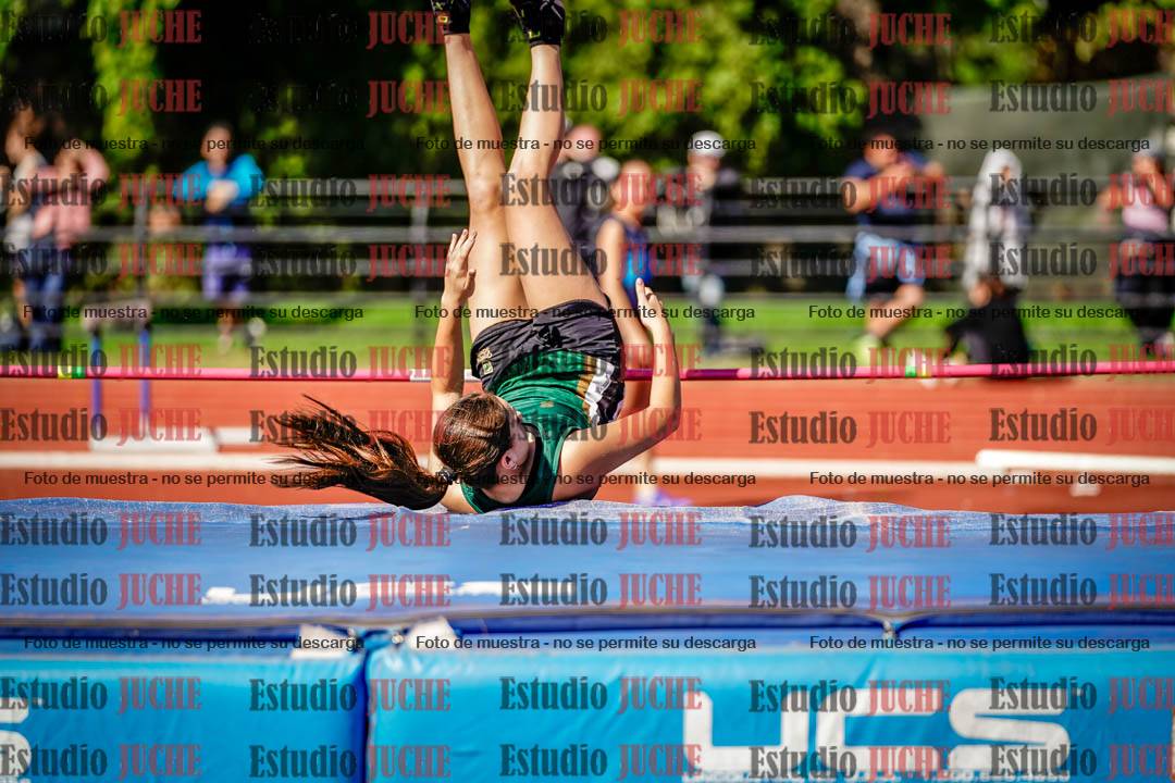 Fotos del salto en alto