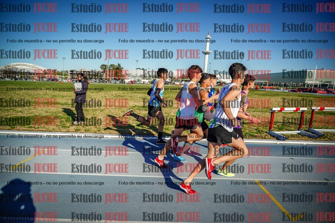 Fotos de los 3000 m con obstáculos de varones