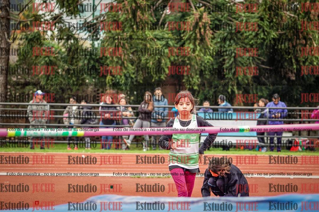Fotos del salto en alto de mujeres y varones - todos los grupos