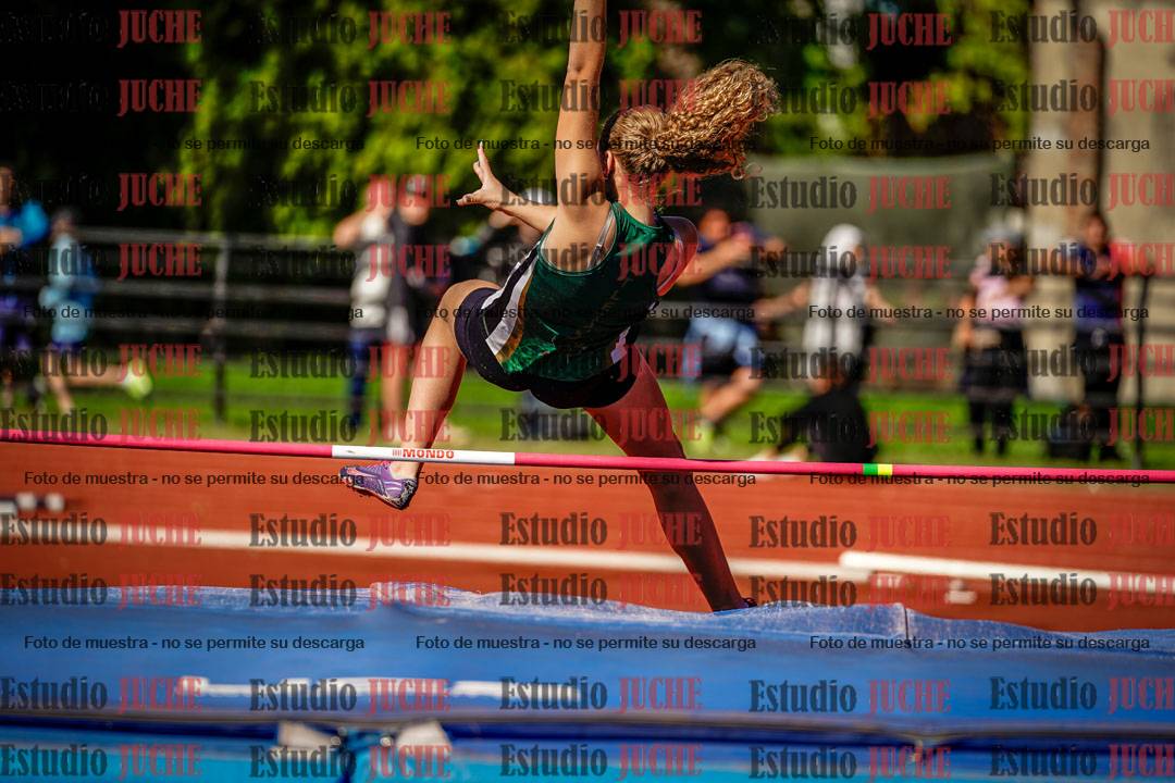 Fotos del salto en alto