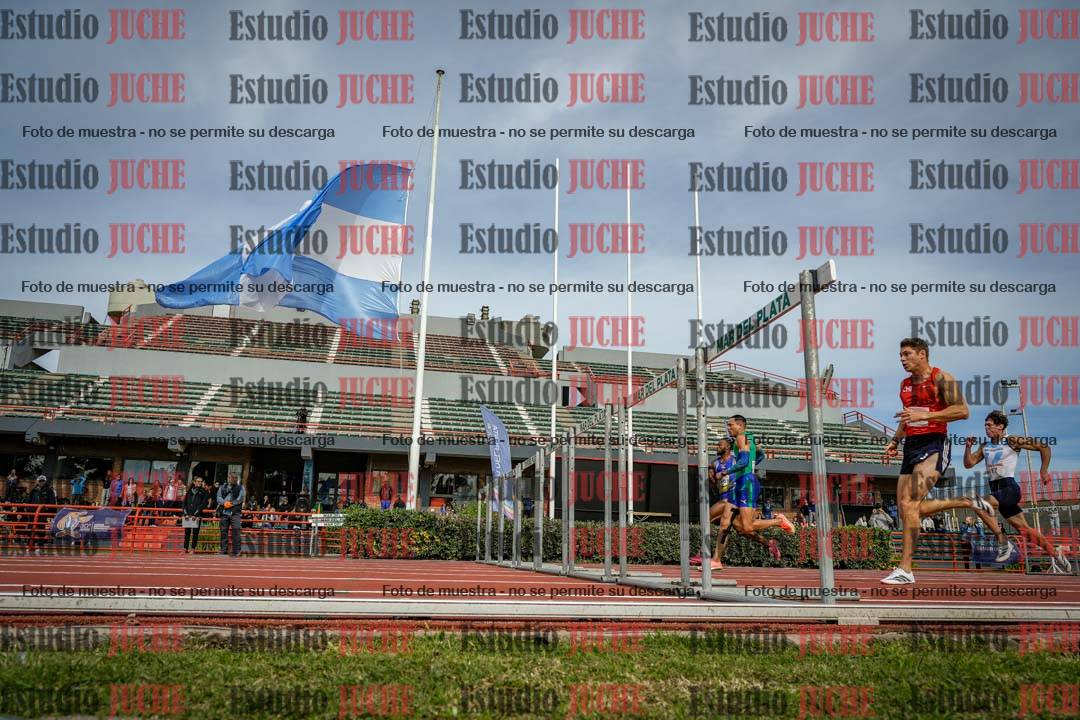 Fotos de los 110 m con vallas de varones