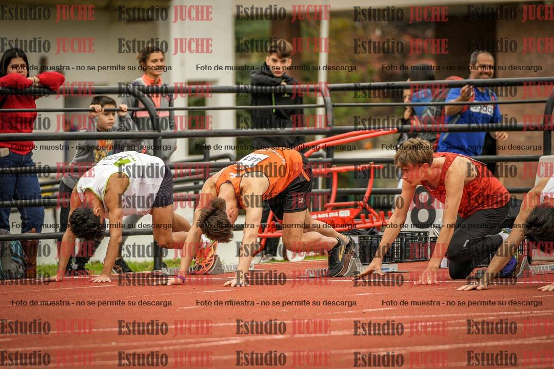 Fotos de los 110 m con vallas de varones