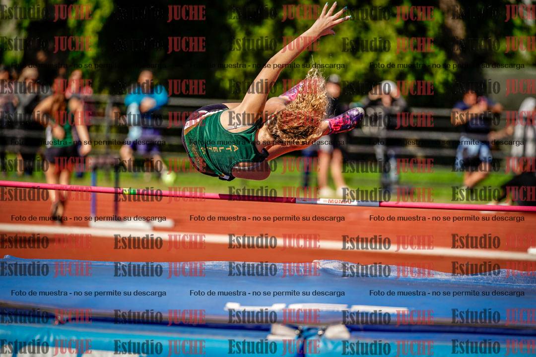 Fotos del salto en alto
