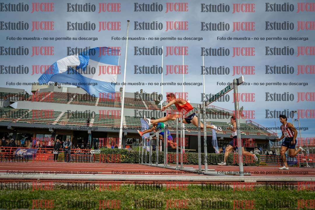 Fotos de los 110 m con vallas de varones