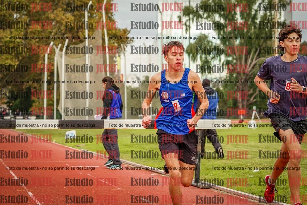 Fotos de los 3000 m con obstáculos de varones