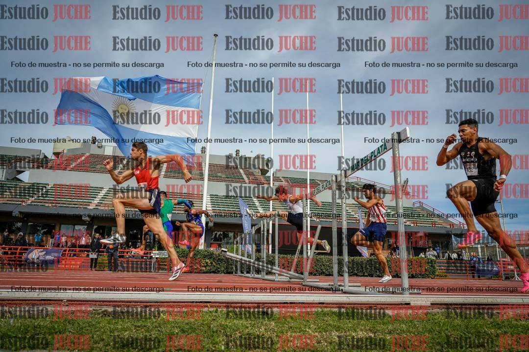 Fotos de los 110 m con vallas de varones