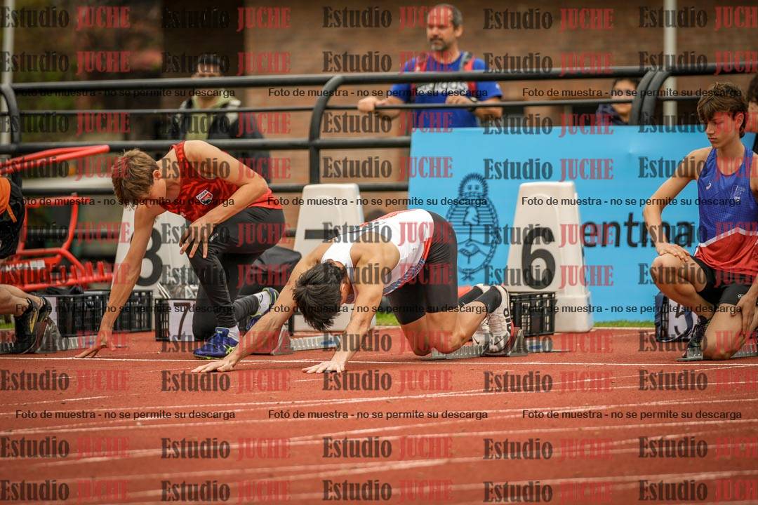 Fotos de los 110 m con vallas de varones