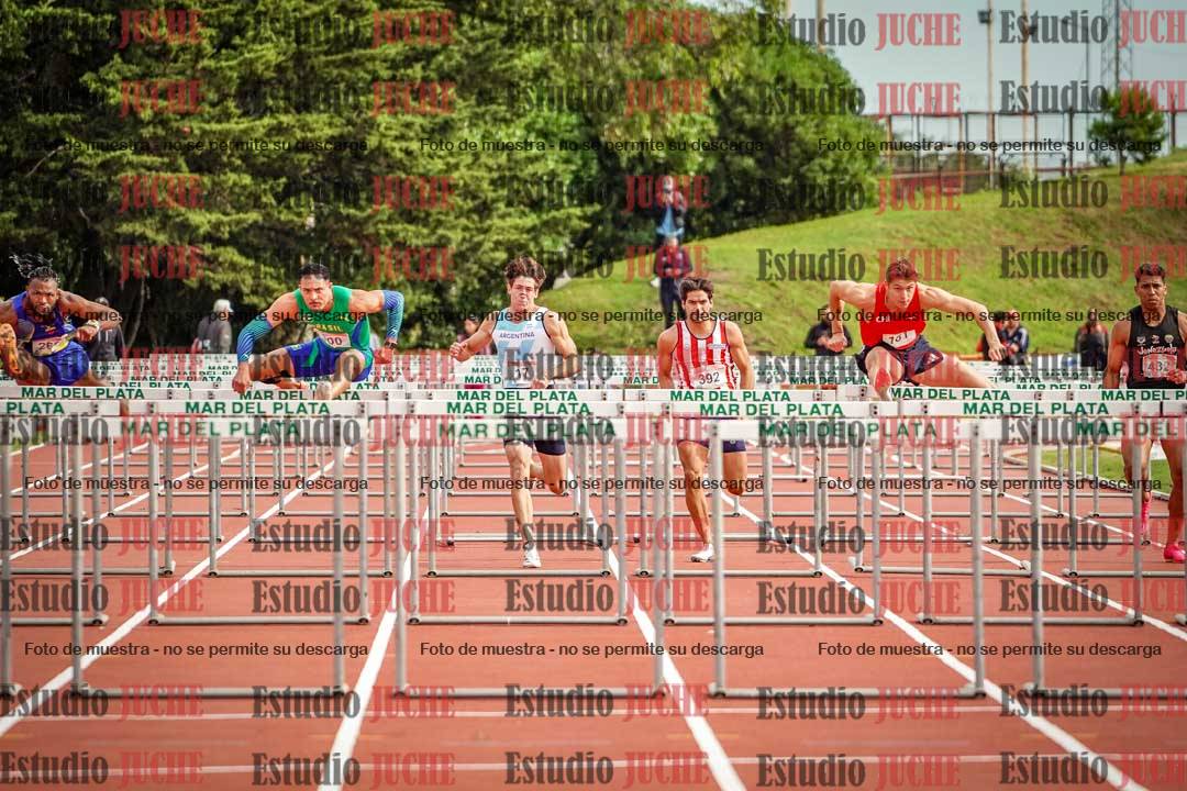 Fotos de los 110 m con vallas de varones