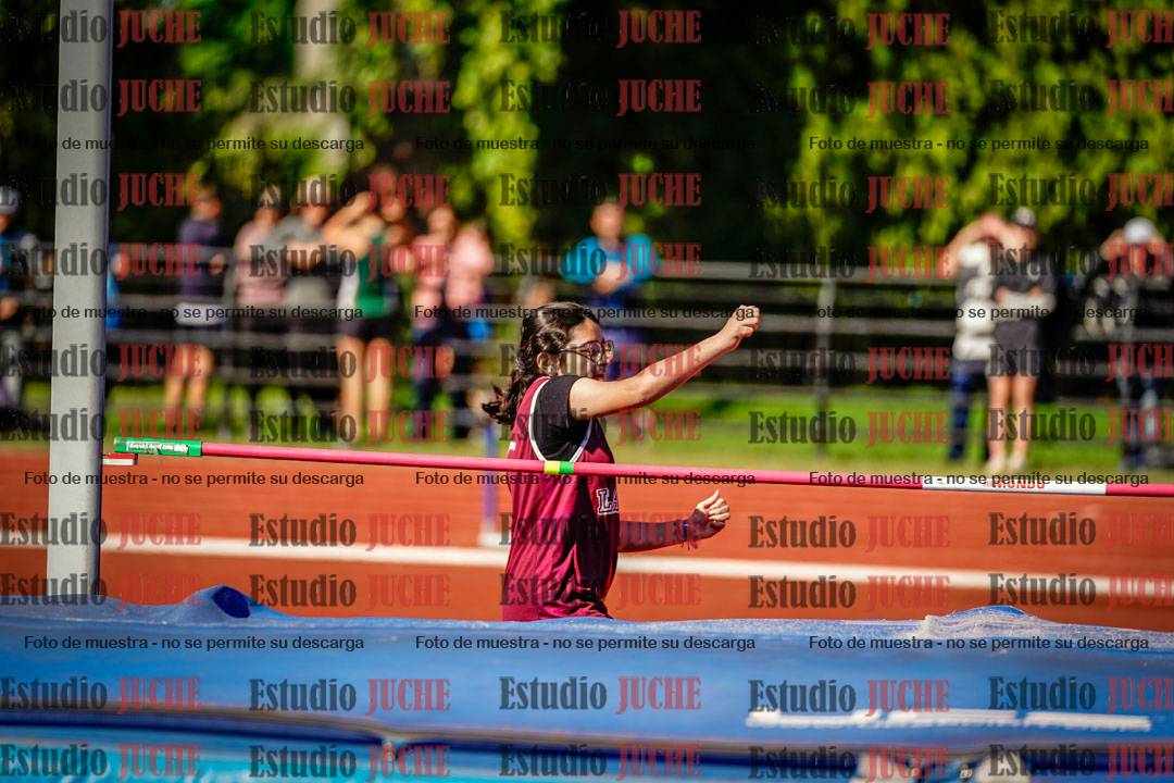 Fotos del salto en alto