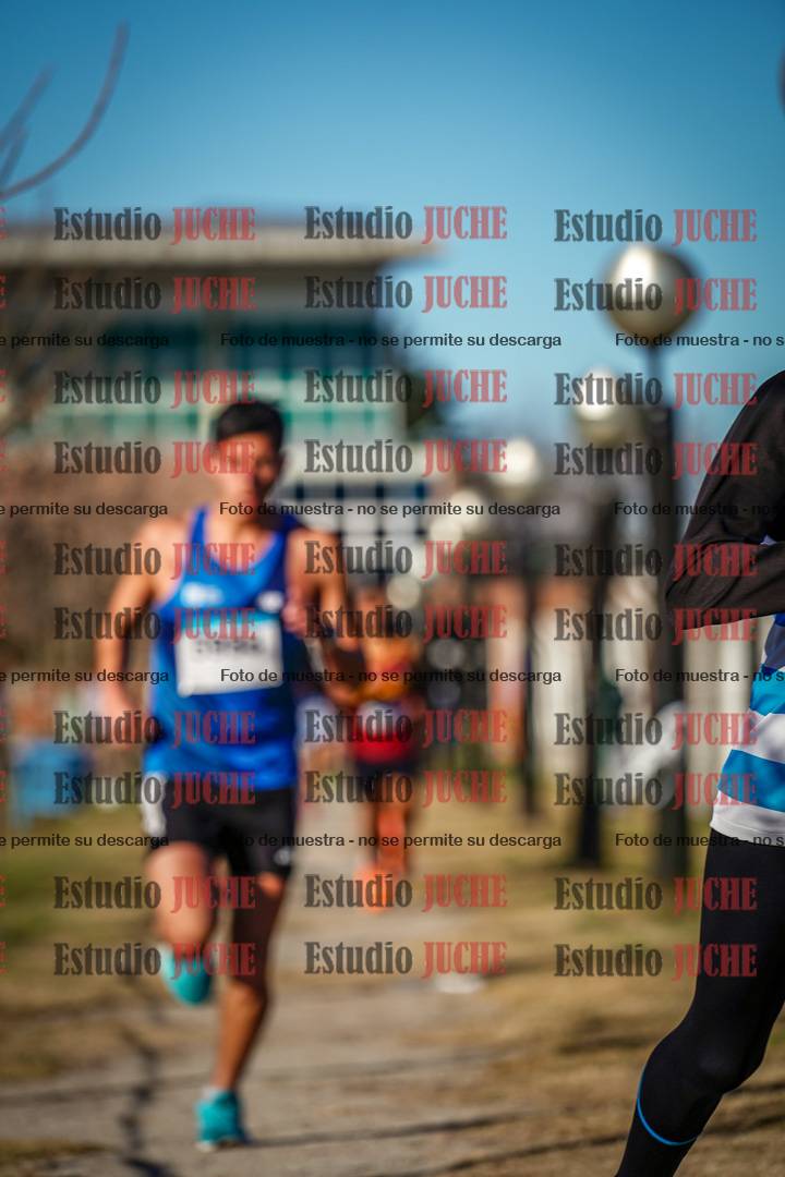 Fotos en el circuito