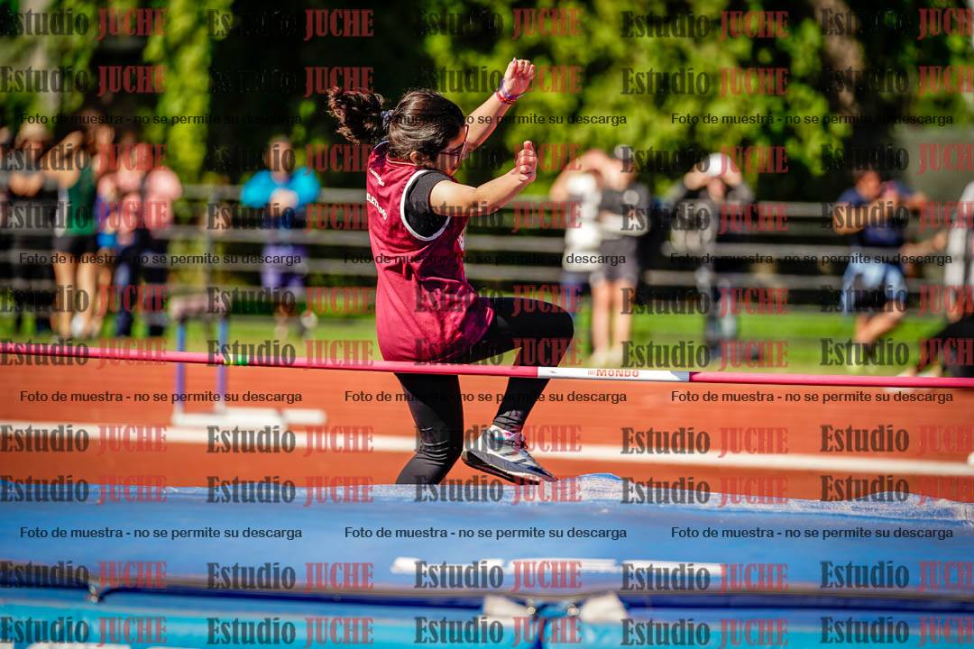 Fotos del salto en alto