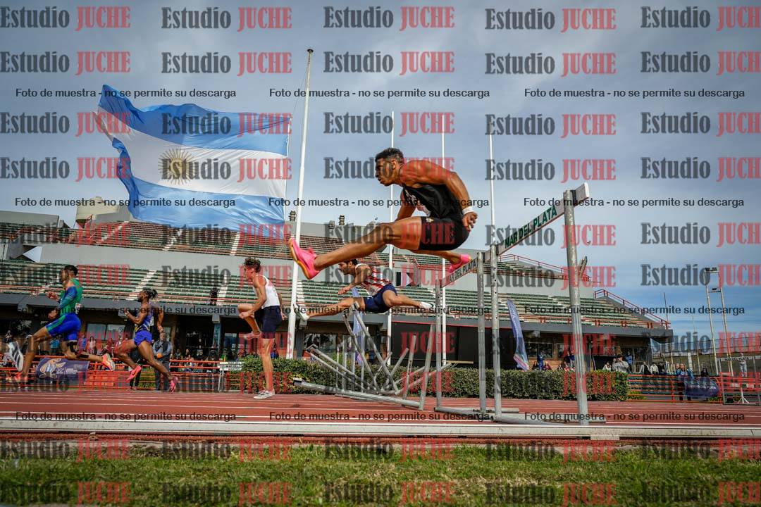 Fotos de los 110 m con vallas de varones