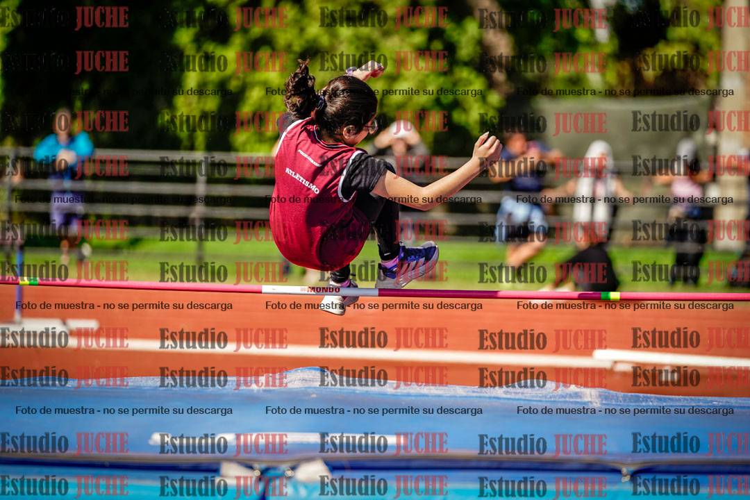 Fotos del salto en alto