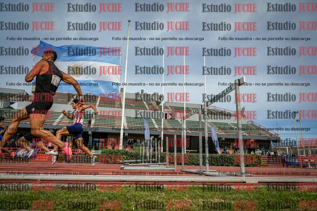 Fotos de los 110 m con vallas de varones