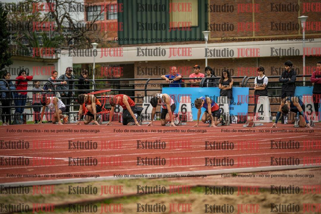 Fotos de los 110 m con vallas de varones