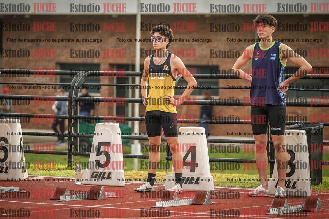 Fotos de los 110 m con vallas de varones