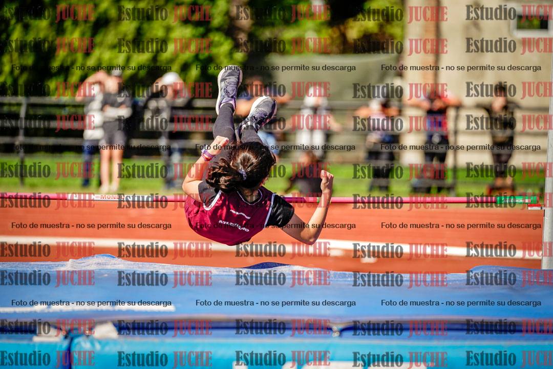 Fotos del salto en alto