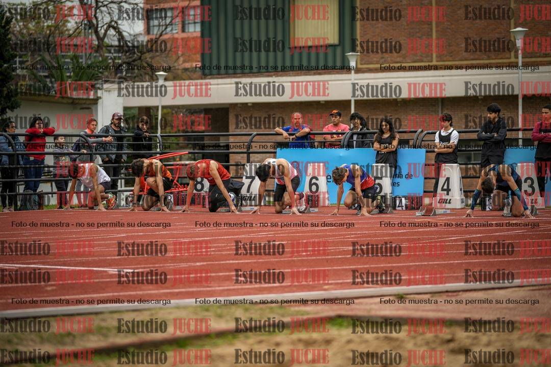 Fotos de los 110 m con vallas de varones