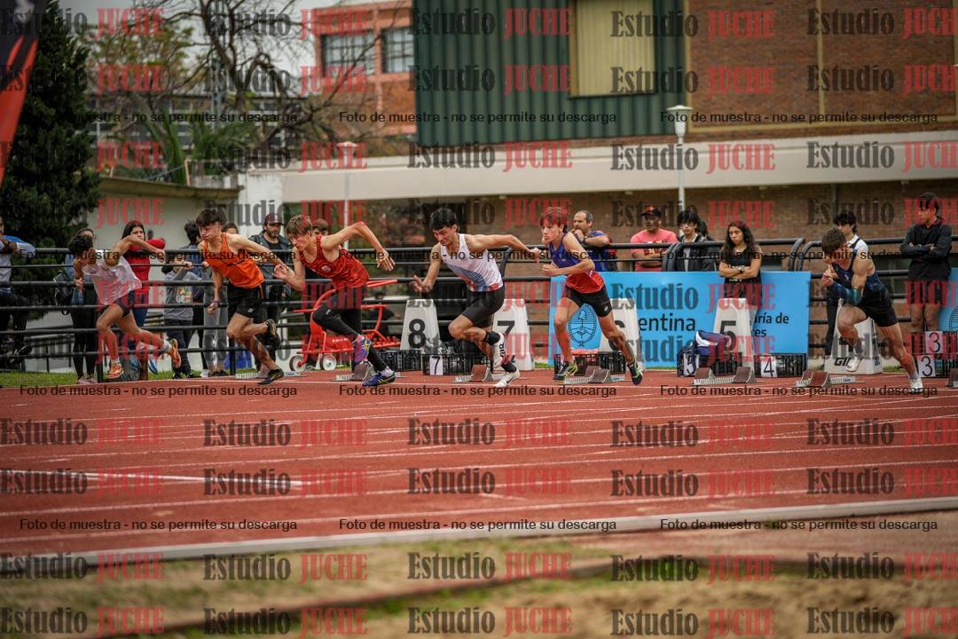 Fotos de los 110 m con vallas de varones