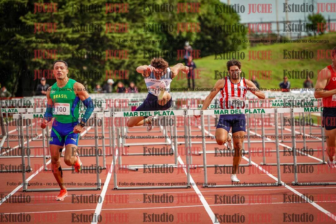 Fotos de los 110 m con vallas de varones