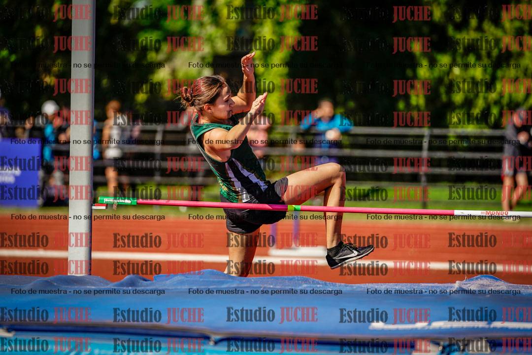 Fotos del salto en alto
