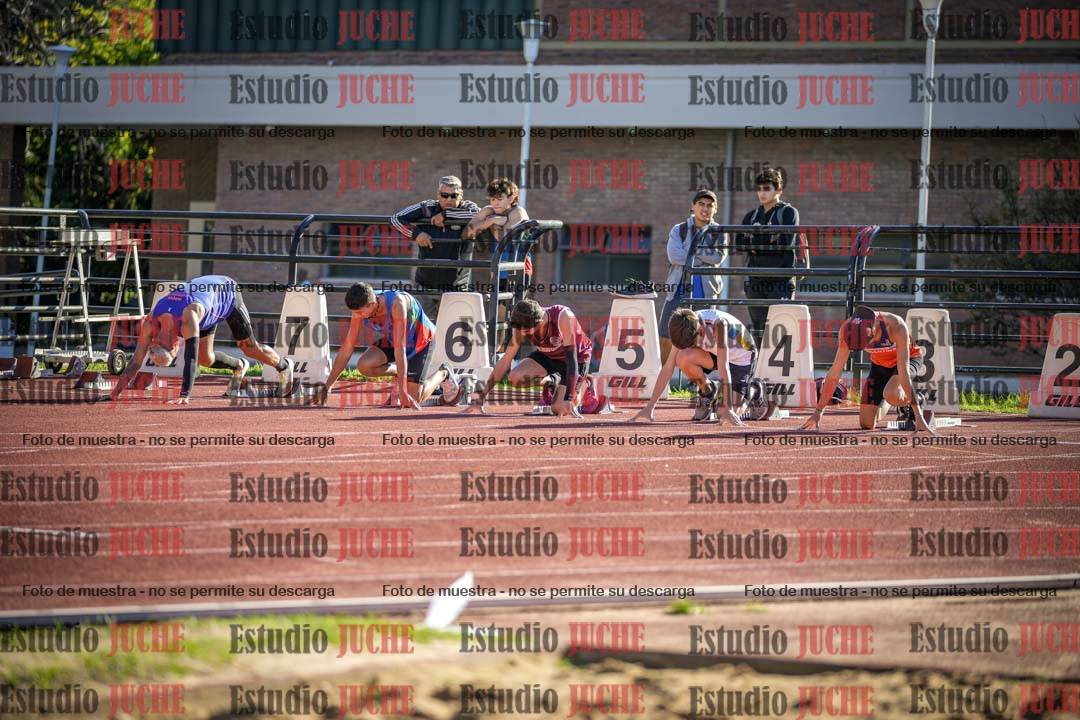 Fotos de los 110 m con vallas de varones