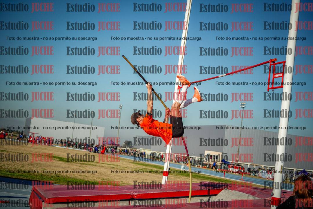 Fotos del salto con garrocha de mujeres y varones