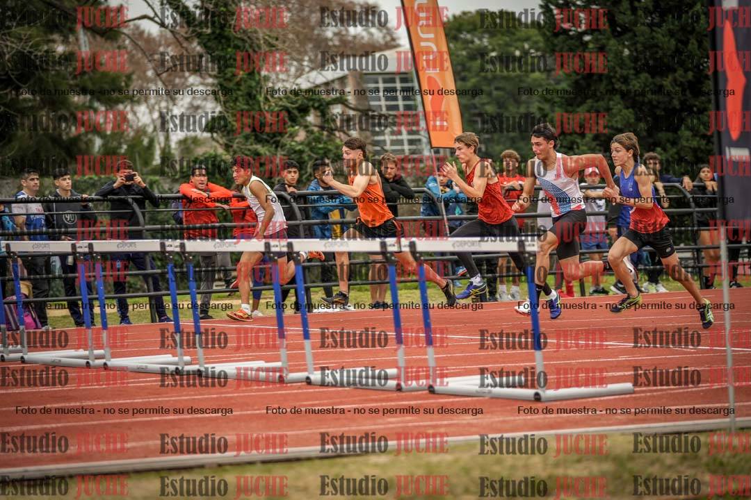 Fotos de los 110 m con vallas de varones