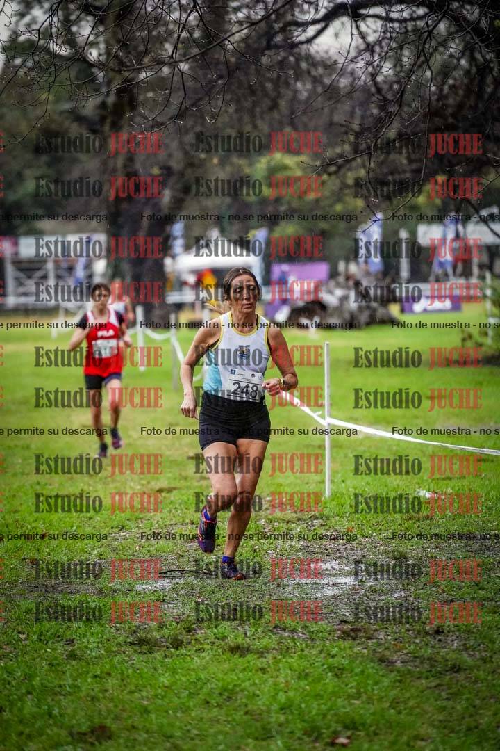 Fotos en el circuito