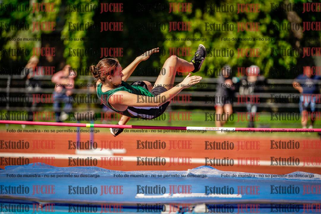 Fotos del salto en alto