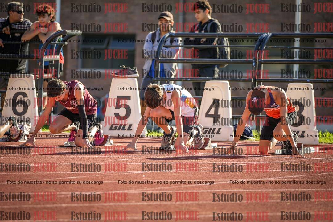 Fotos de los 110 m con vallas de varones
