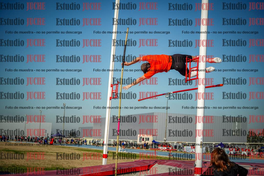 Fotos del salto con garrocha de mujeres y varones