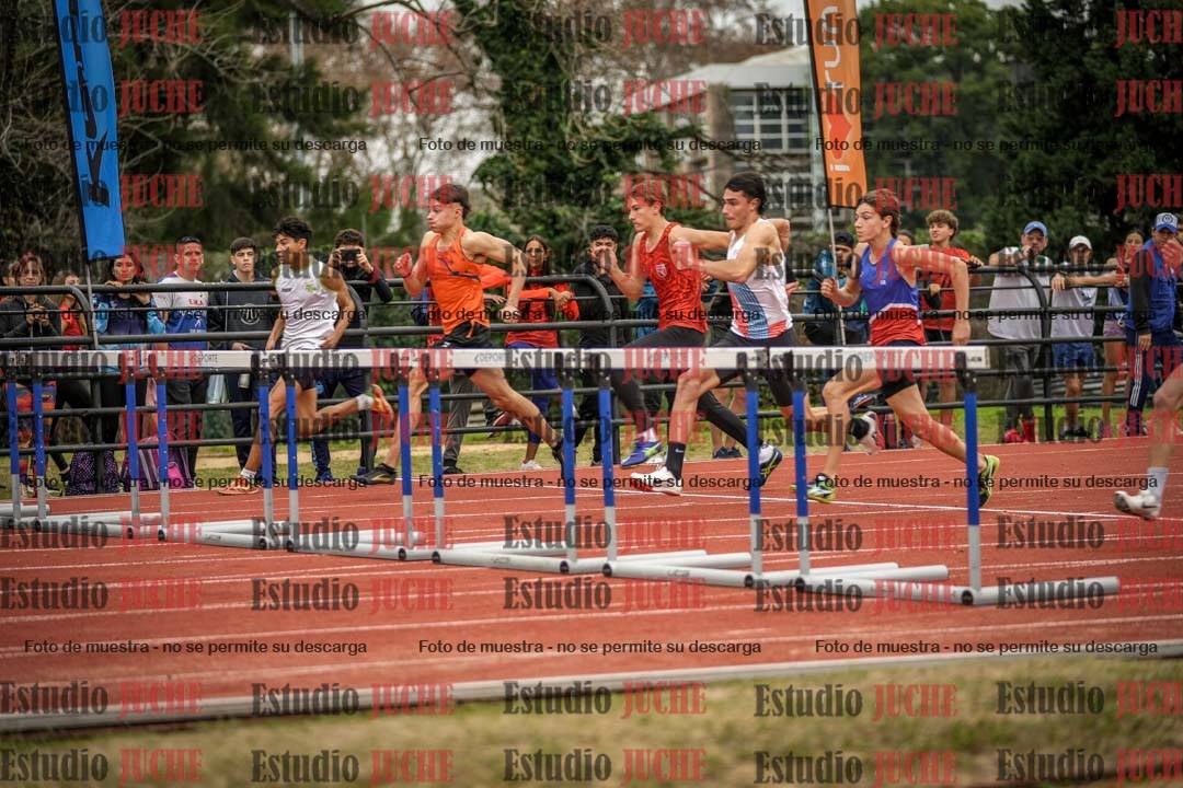 Fotos de los 110 m con vallas de varones