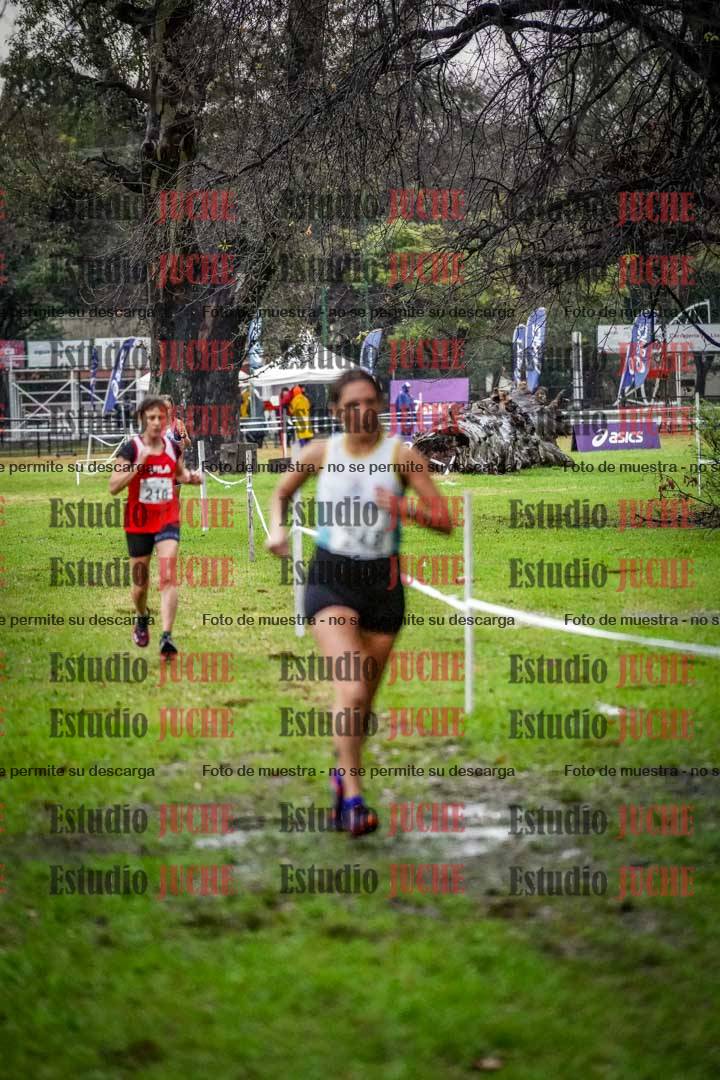 Fotos en el circuito