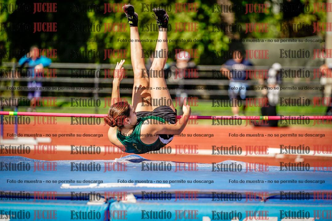 Fotos del salto en alto