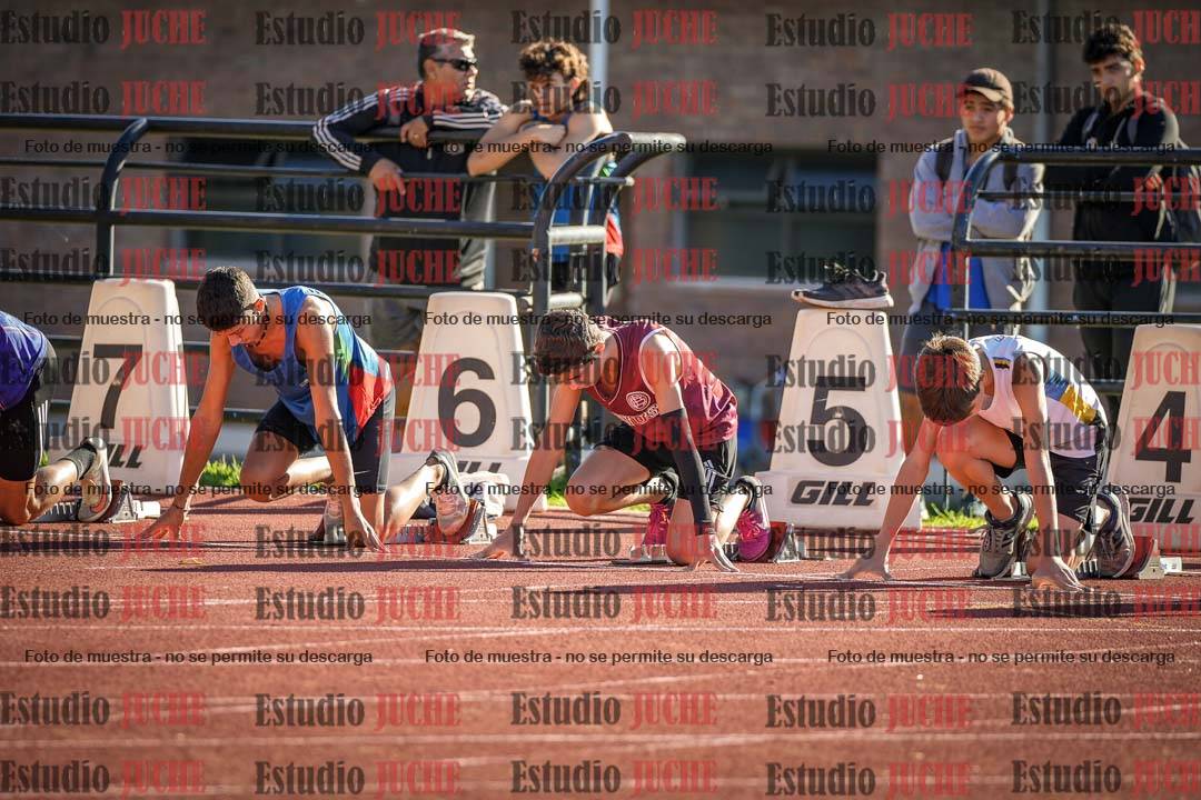 Fotos de los 110 m con vallas de varones