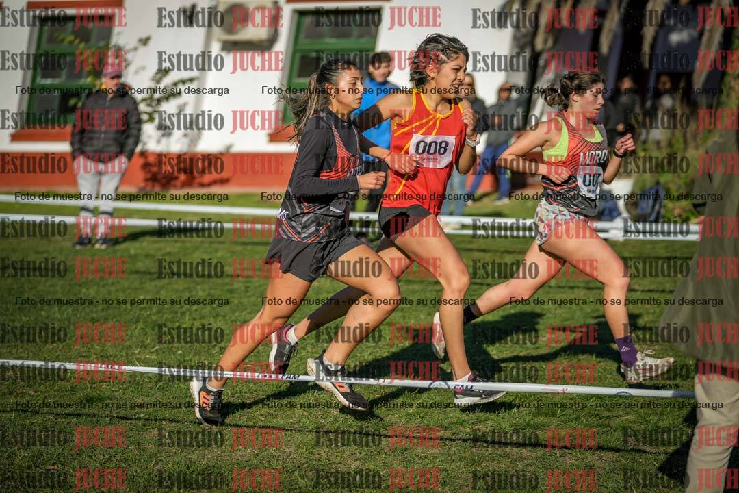 Fotos en el séptimo punto circuito