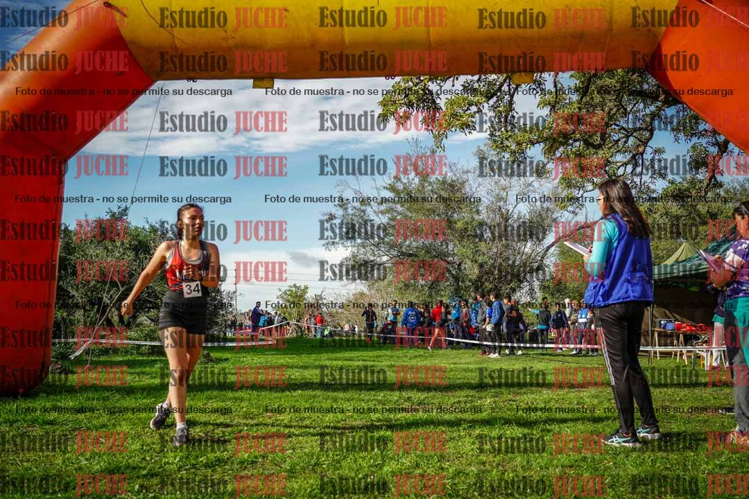 Fotos de la llegada del cross de 4000 m - mujeres