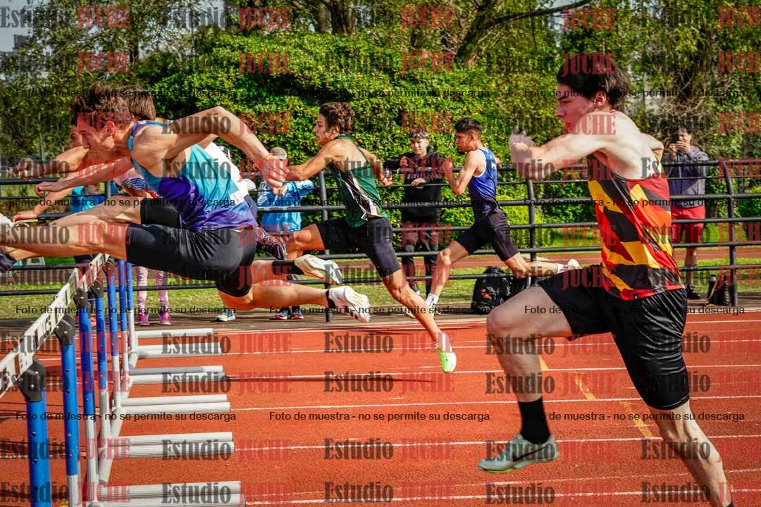 Fotos de los 110 m con vallas de varones