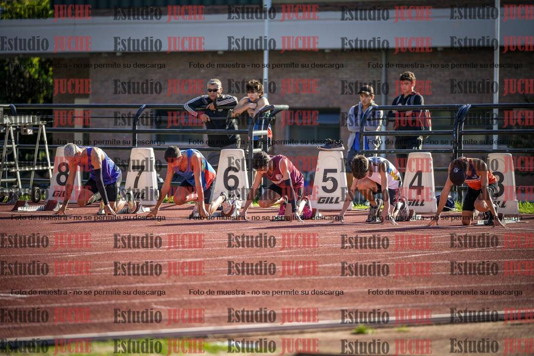 Fotos de los 110 m con vallas de varones