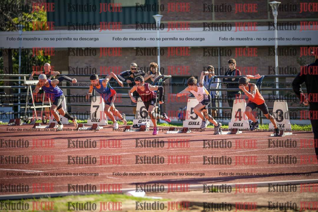 Fotos de los 110 m con vallas de varones
