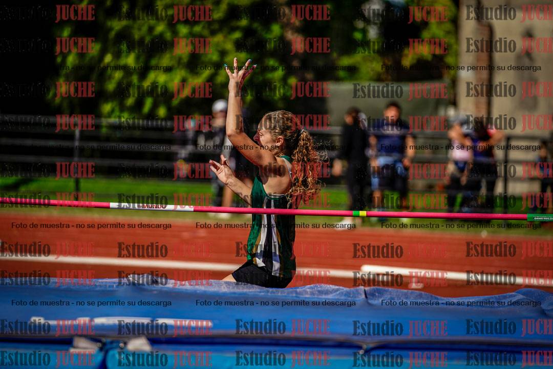 Fotos del salto en alto